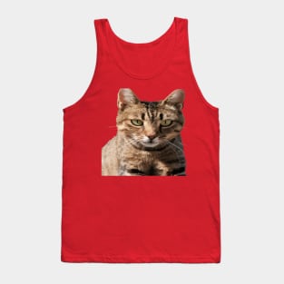 Portrait Of A Cute Tabby Cat With Direct Eye Contact Vector Tank Top